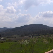 19_Castellina in Chianti (12)